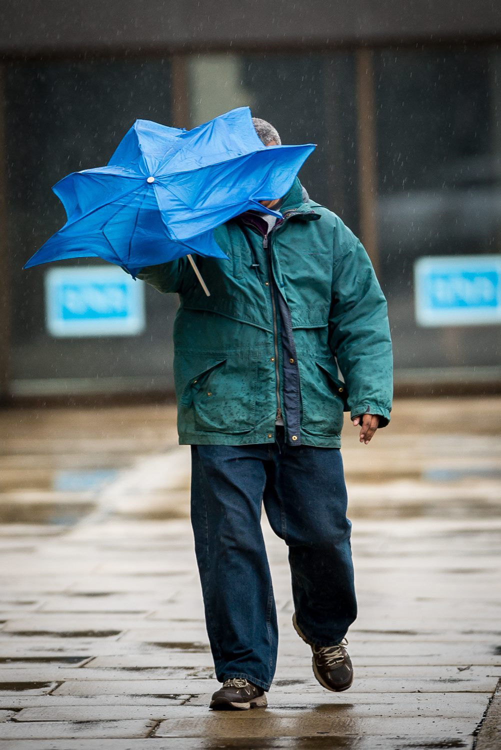 LOCAL_Wild Art-Weather Friday